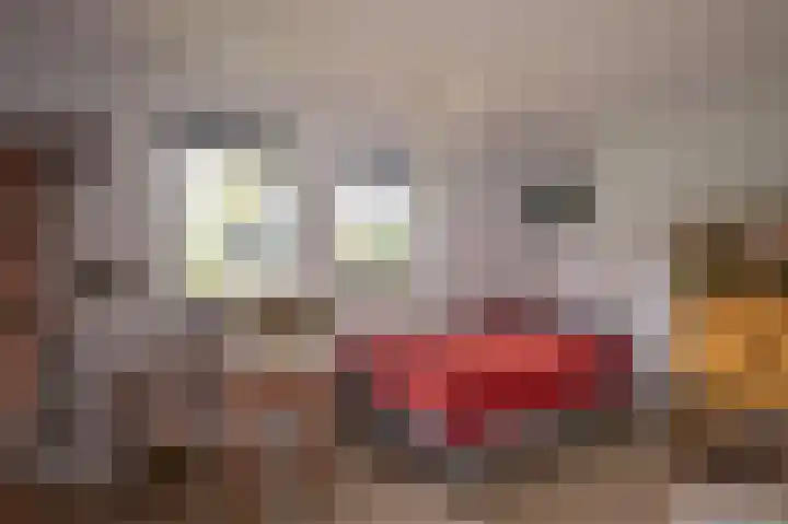 Paalhoeveweg 11 Kootwijk thumbnail 20