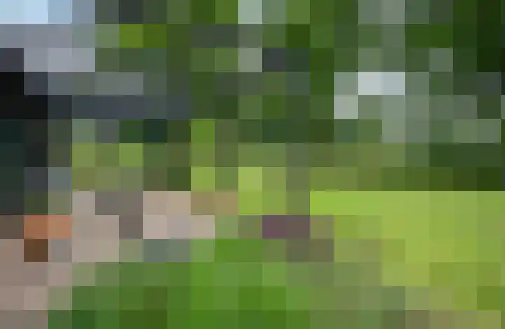 Paalhoeveweg 11 Kootwijk thumbnail 29