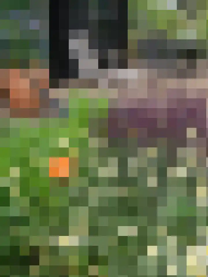 Paalhoeveweg 11 Kootwijk thumbnail 30