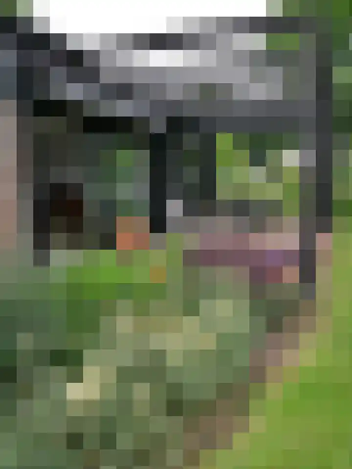 Paalhoeveweg 11 Kootwijk thumbnail 31