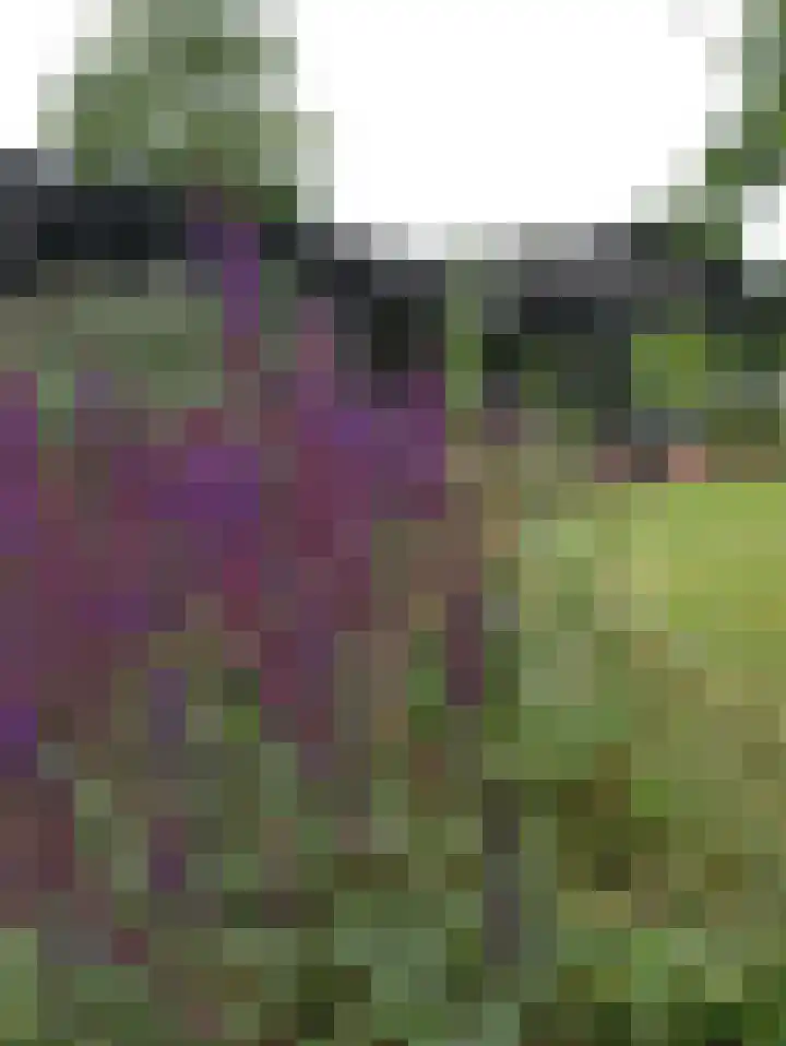 Paalhoeveweg 11 Kootwijk thumbnail 32