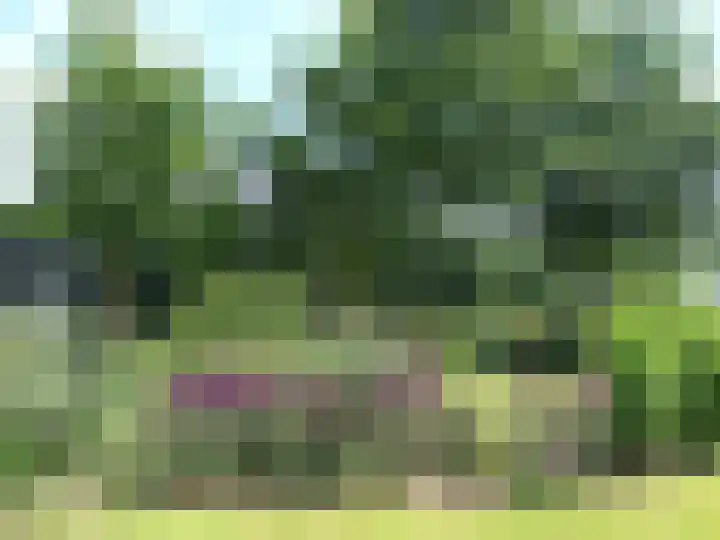 Paalhoeveweg 11 Kootwijk thumbnail 33