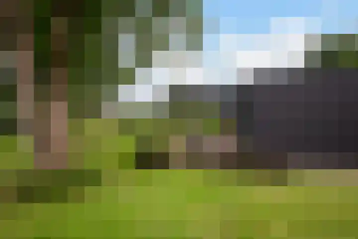 Paalhoeveweg 11 Kootwijk thumbnail 34