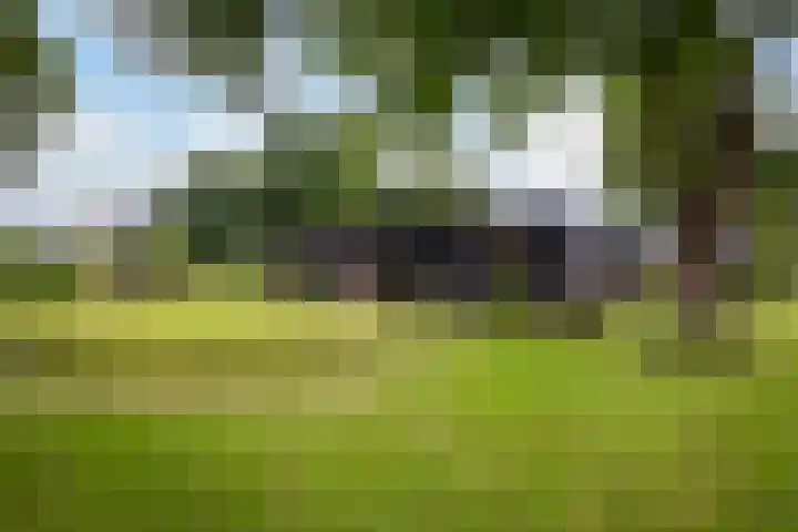 Paalhoeveweg 11 Kootwijk thumbnail 35
