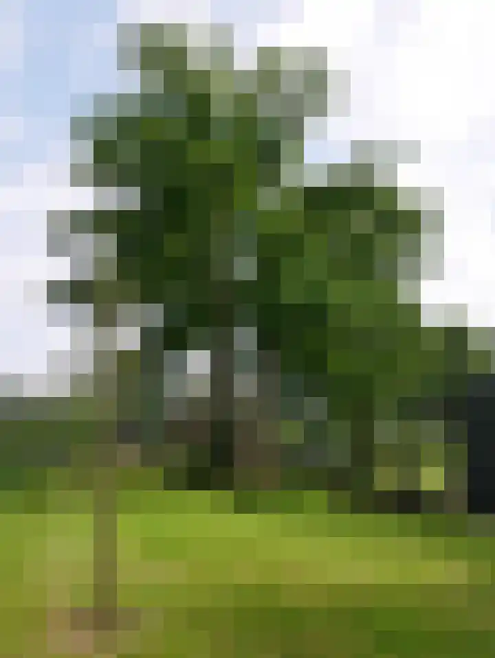 Paalhoeveweg 11 Kootwijk thumbnail 36