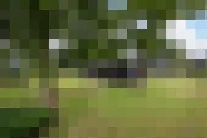 Paalhoeveweg 11 Kootwijk thumbnail 37