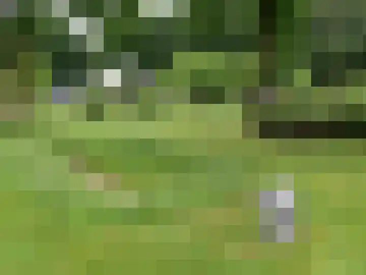 Paalhoeveweg 11 Kootwijk thumbnail 39