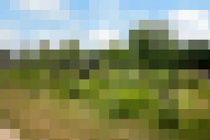 Paalhoeveweg 11 Kootwijk thumbnail 40