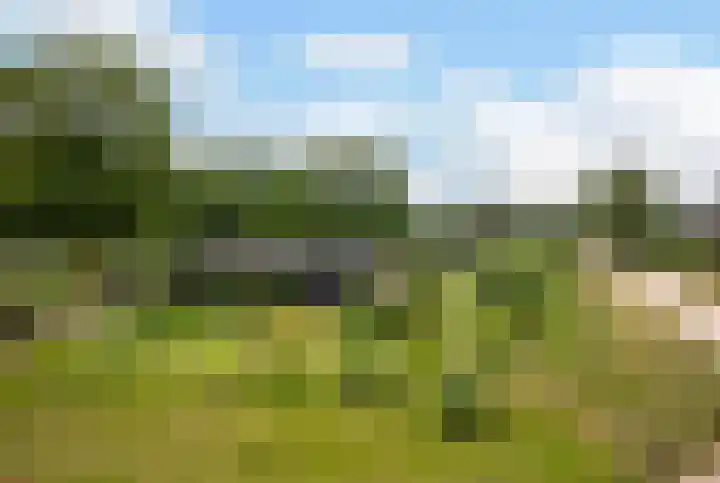 Paalhoeveweg 11 Kootwijk thumbnail 41