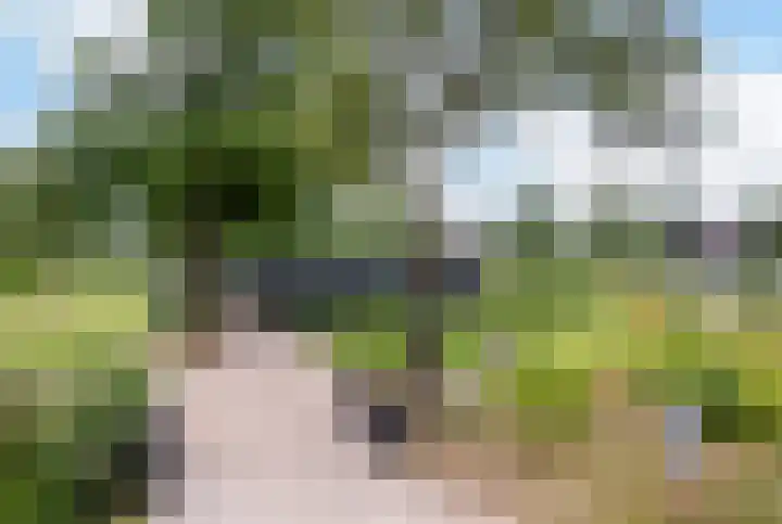 Paalhoeveweg 11 Kootwijk thumbnail 42