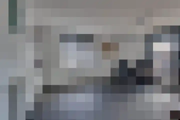 Paalhoofd 2 Vlissingen thumbnail 10
