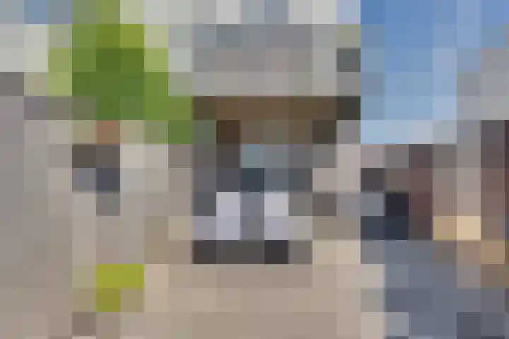 Paalhoofd 2 Vlissingen thumbnail 16