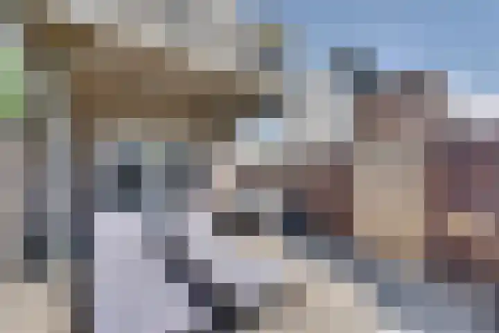 Paalhoofd 2 Vlissingen thumbnail 17
