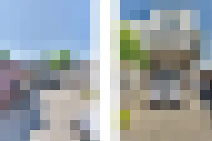 Paalhoofd 2 Vlissingen thumbnail 18