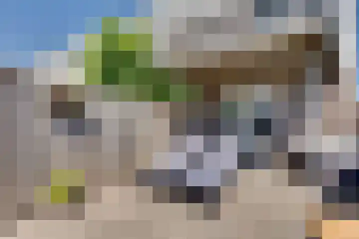 Paalhoofd 2 Vlissingen thumbnail 19