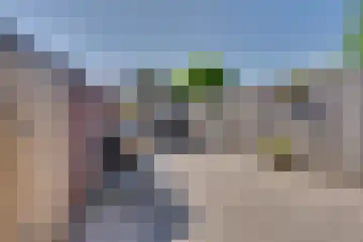 Paalhoofd 2 Vlissingen thumbnail 20