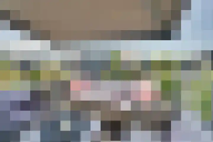 Paalhoofd 2 Vlissingen thumbnail 41