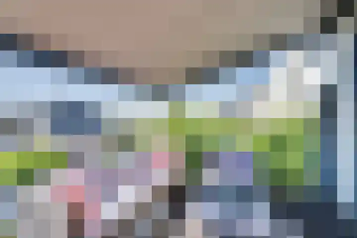 Paalhoofd 2 Vlissingen thumbnail 43