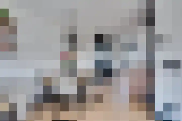Paalhoofd 2 Vlissingen thumbnail 45