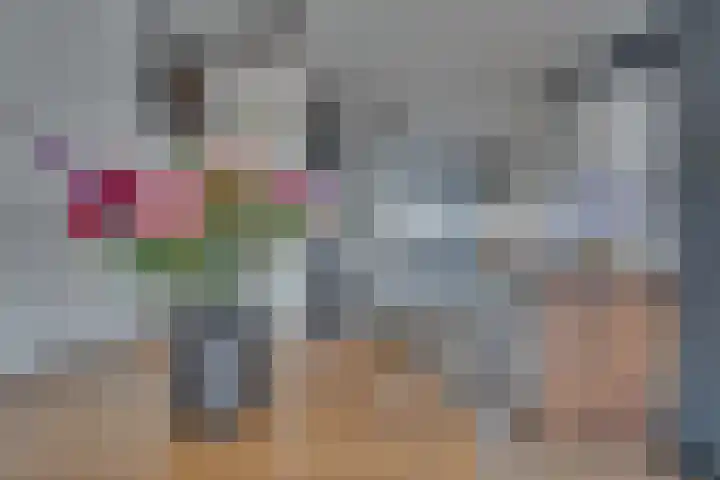 Paalhoofd 2 Vlissingen thumbnail 46