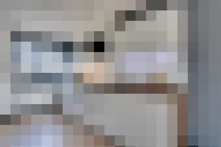 Paalhoofd 2 Vlissingen thumbnail 48