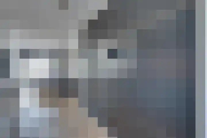 Paalhoofd 2 Vlissingen thumbnail 50