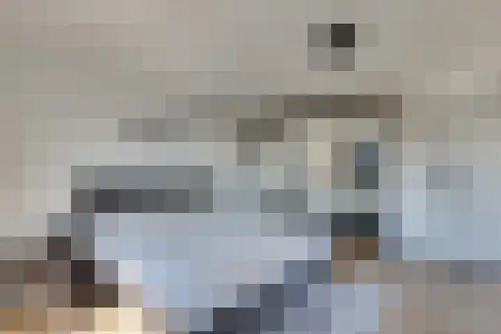 Paalhoofd 2 Vlissingen thumbnail 57