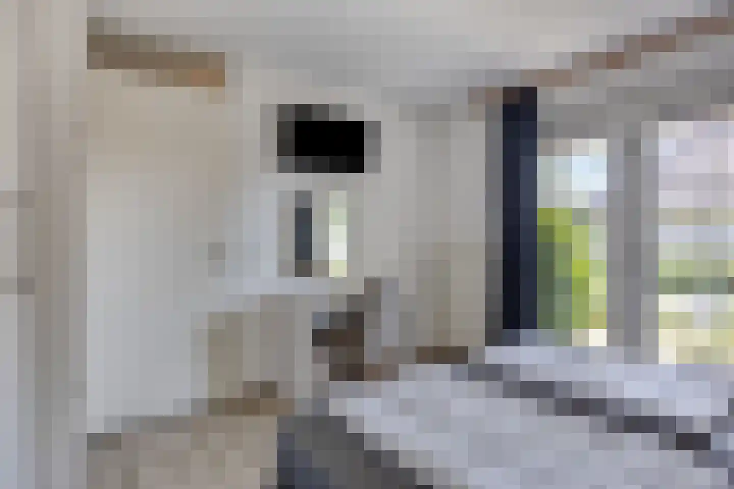 Paalhoofd 4 Domburg thumbnail 16