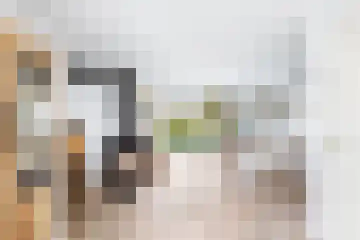 Paalhoofd 4 Vlissingen thumbnail 12