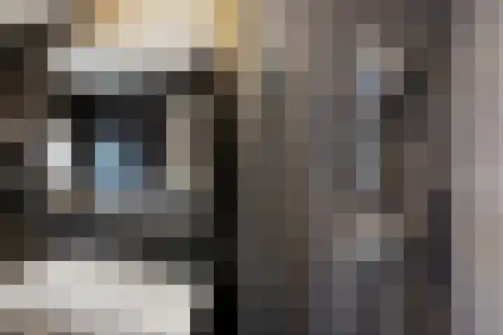 Paalhoofd 4 Vlissingen thumbnail 24
