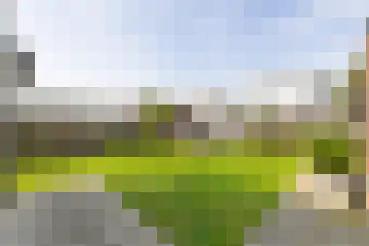 Paalhoofd 4 Vlissingen thumbnail 32