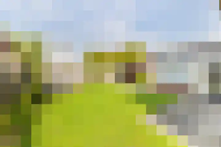Paalhoofd 4 Vlissingen thumbnail 34