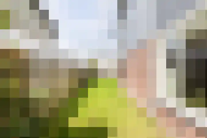 Paalhoofd 4 Vlissingen thumbnail 35