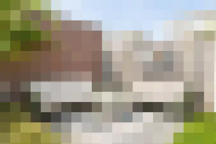 Paalhoofd 4 Vlissingen thumbnail 36