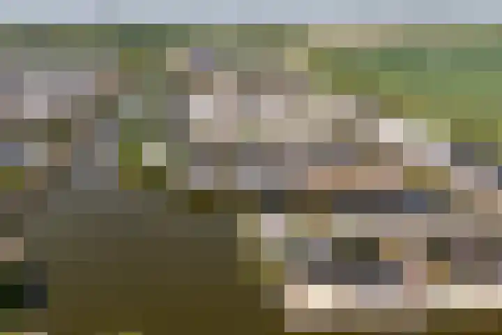 Paalhoofd 4 Vlissingen thumbnail 38