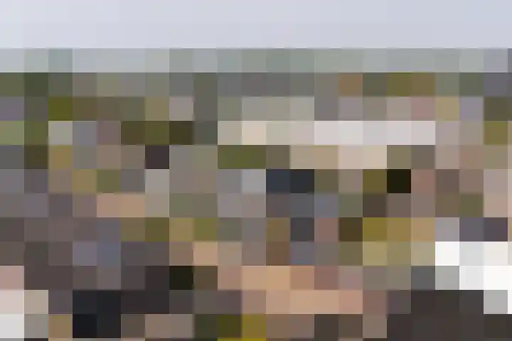 Paalhoofd 4 Vlissingen thumbnail 39