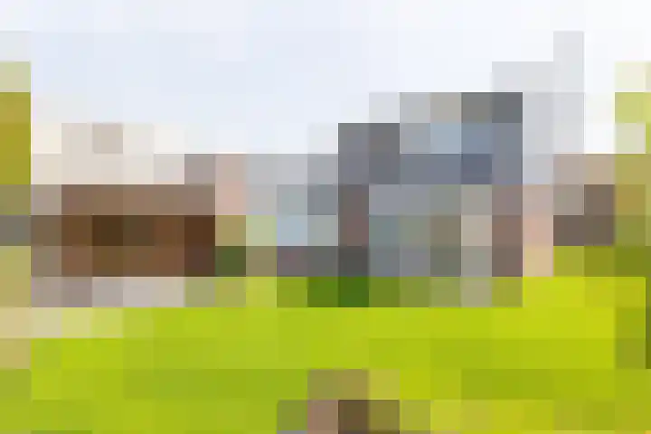 Paalhoofd 4 Vlissingen thumbnail 4