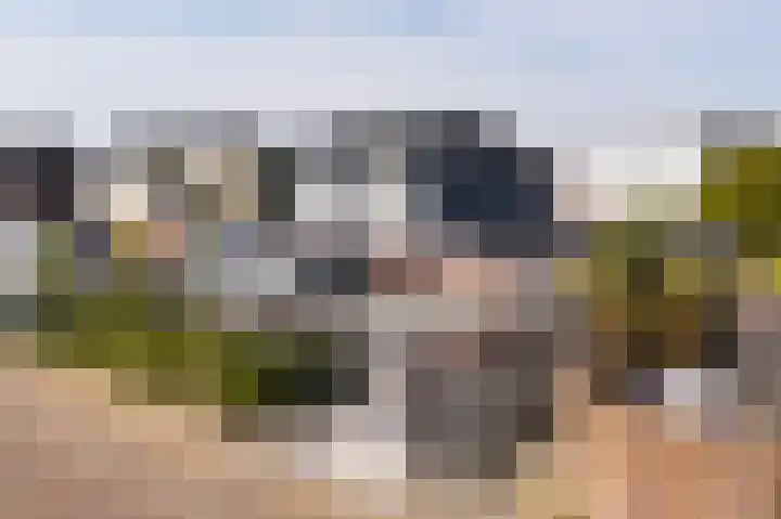 Paalhoofd 4 Vlissingen thumbnail 43