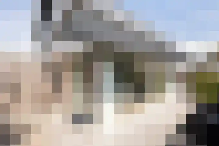 Paalhoofd 4 Vlissingen thumbnail 7