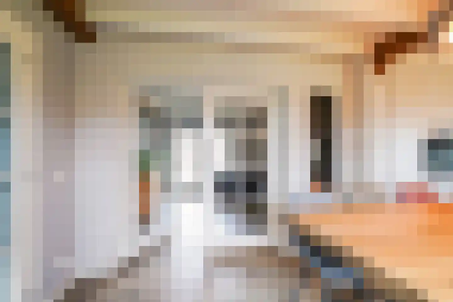 Paalstraat 39 De Moer thumbnail 16