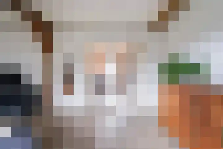 Paalstraat 39 De Moer thumbnail 17