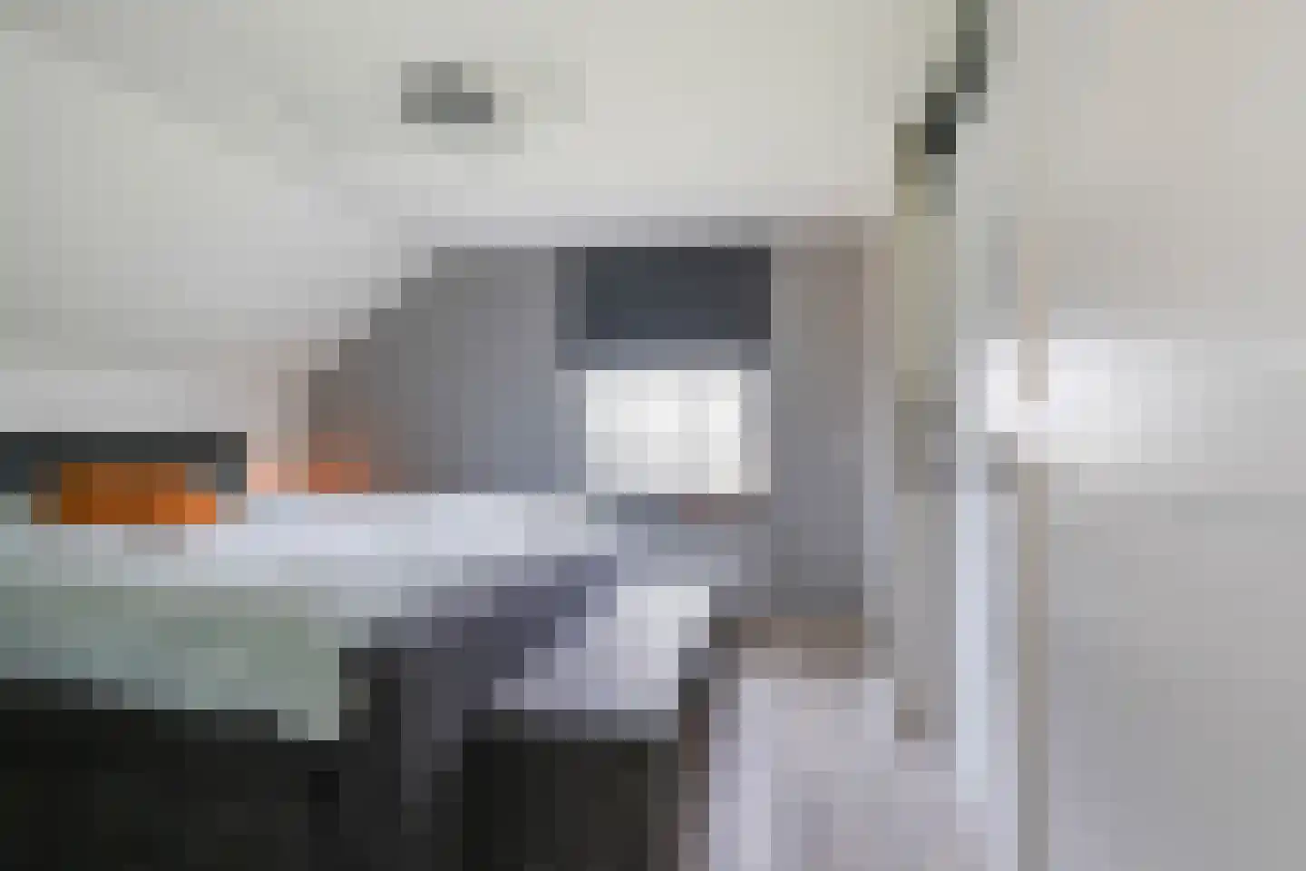 Paalstraat 39 De Moer thumbnail 25