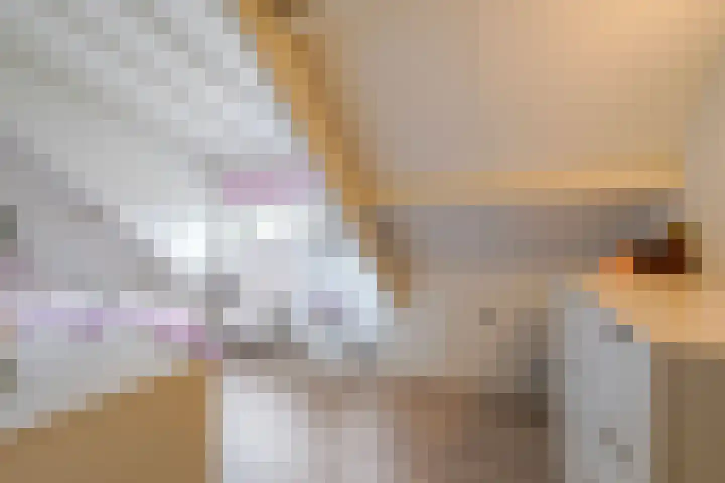 Paalstraat 39 De Moer thumbnail 32