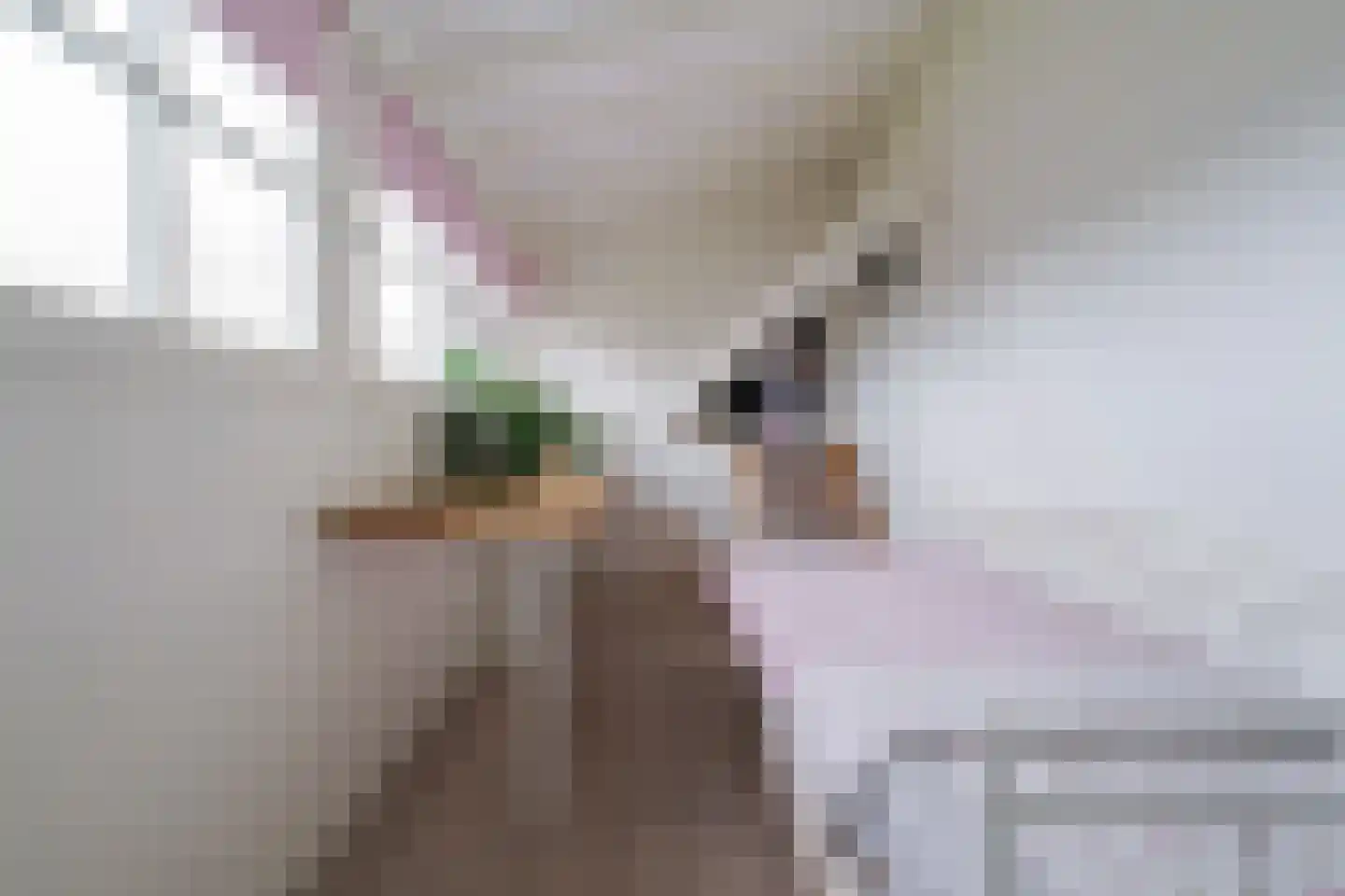 Paalstraat 39 De Moer thumbnail 37