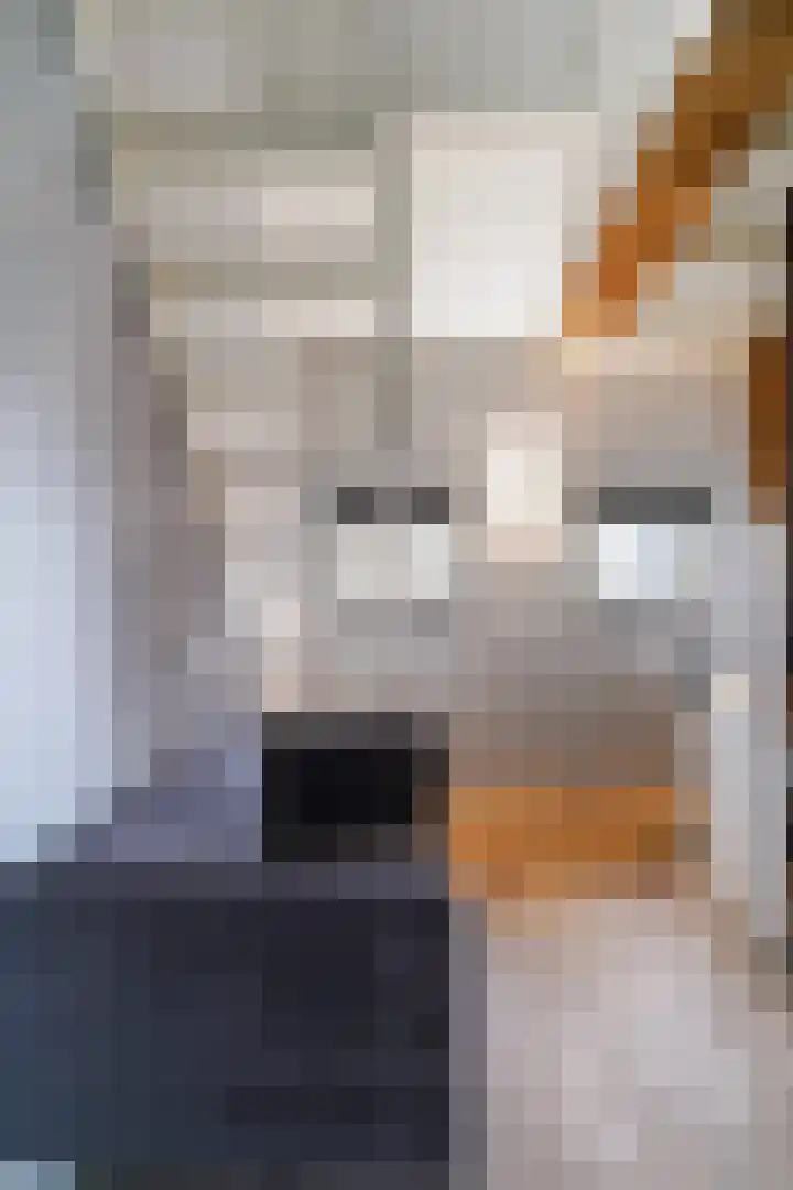 Paalstraat 39 De Moer thumbnail 49