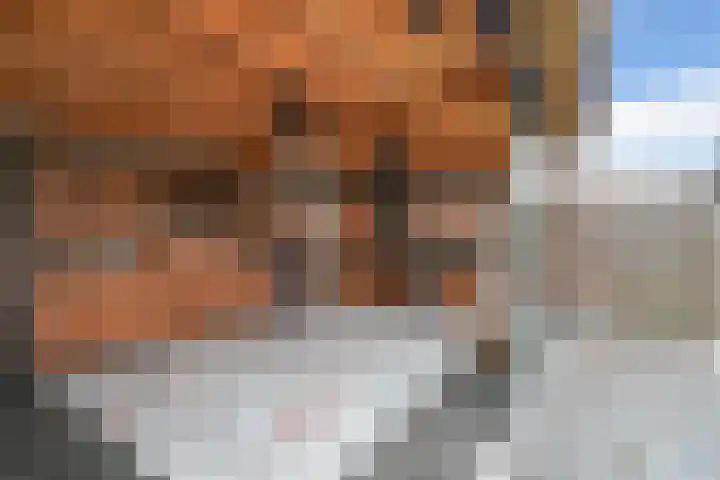 Paalstraat 39 De Moer thumbnail 5