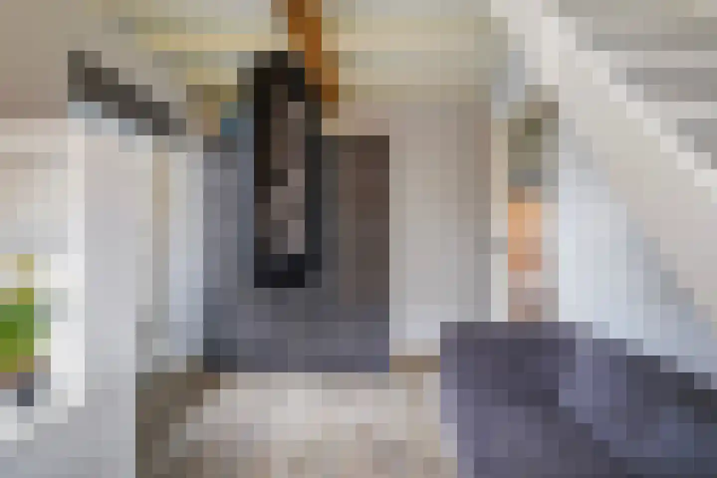 Paalstraat 39 De Moer thumbnail 50