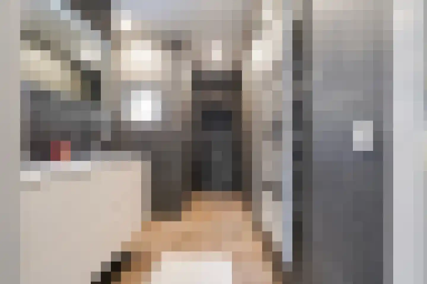 Paalstraat 39 De Moer thumbnail 52