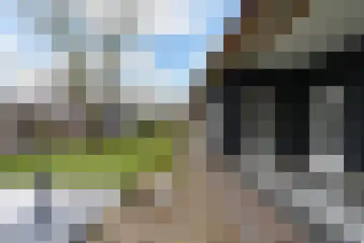 Paalstraat 39 De Moer thumbnail 56