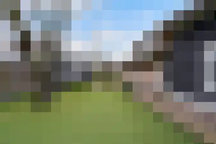 Paalstraat 39 De Moer thumbnail 57